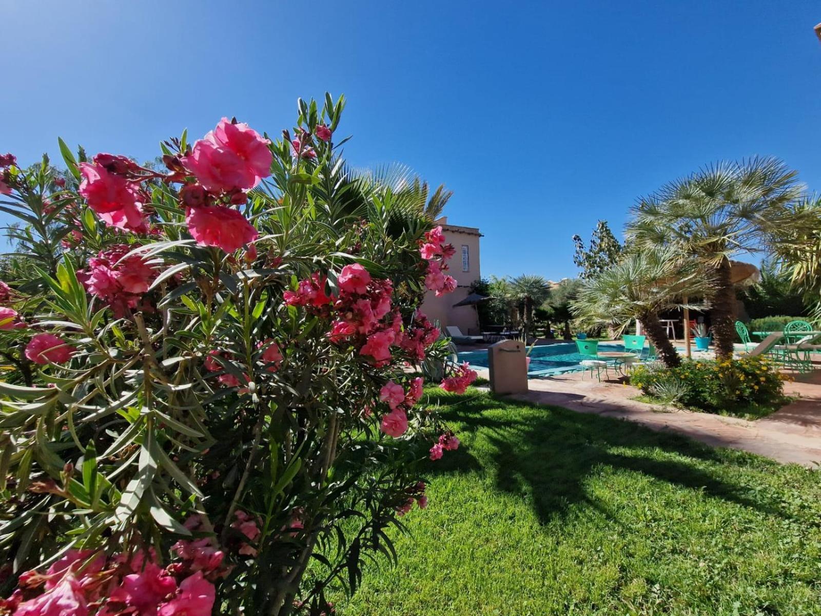 Manzal Lahbab, 2Villas 2Bungalows 2Piscines Et Jardins Ouled Jelal Exteriör bild